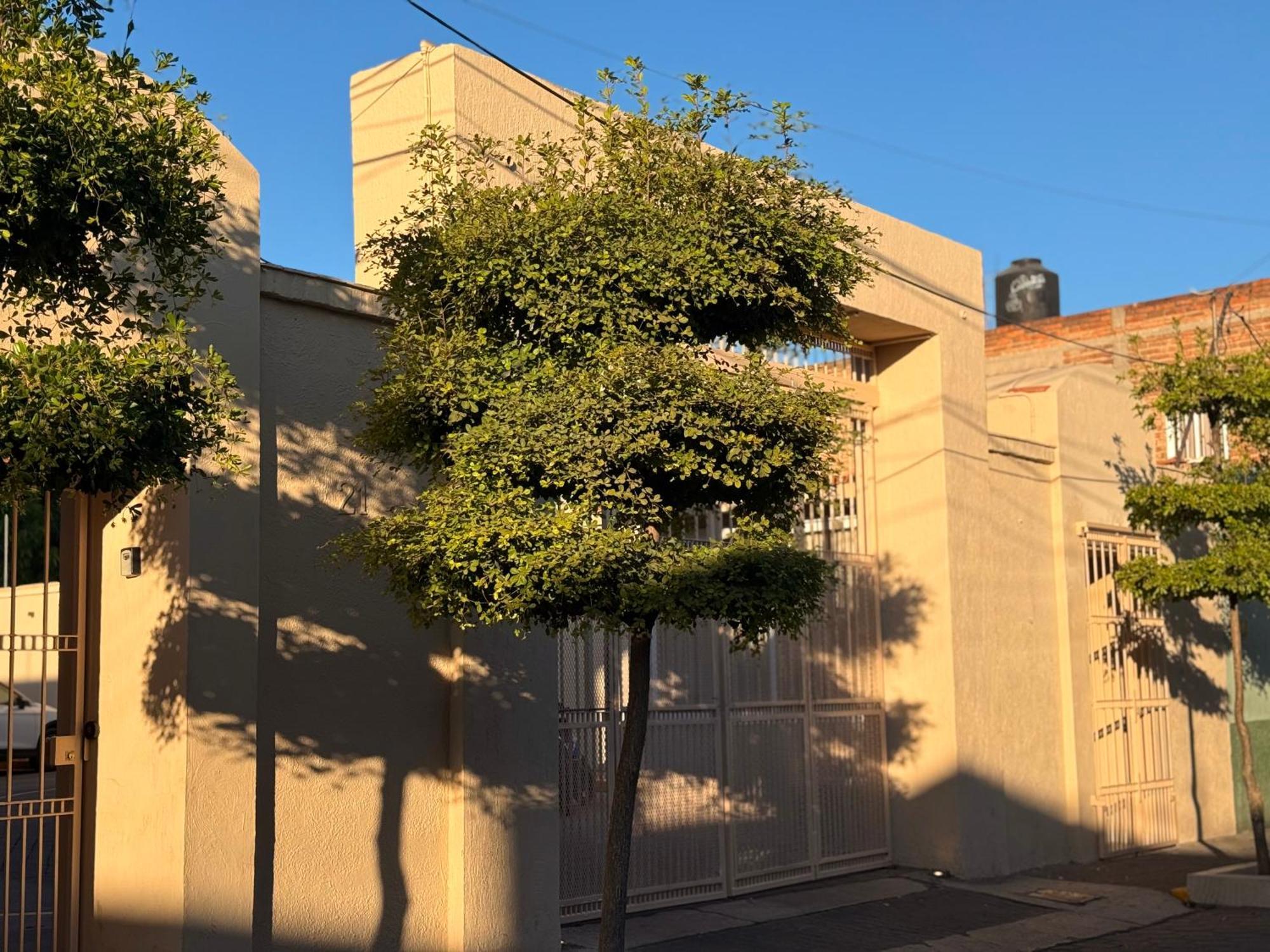 Villa La Palma Hotel 特基拉 外观 照片