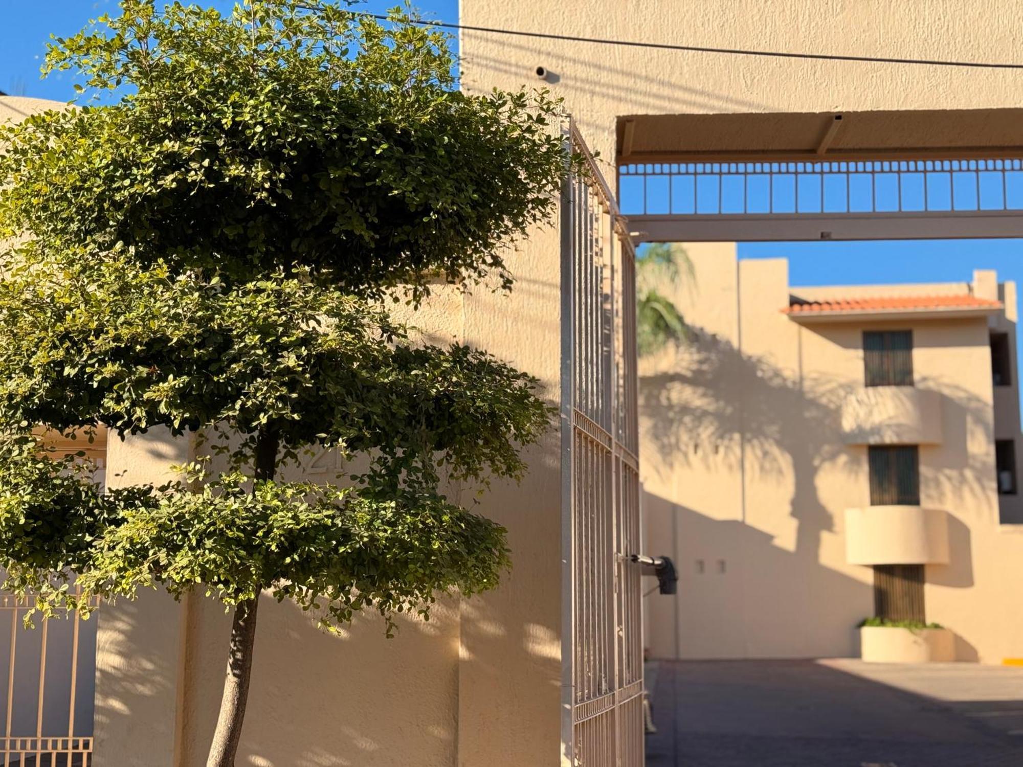 Villa La Palma Hotel 特基拉 外观 照片