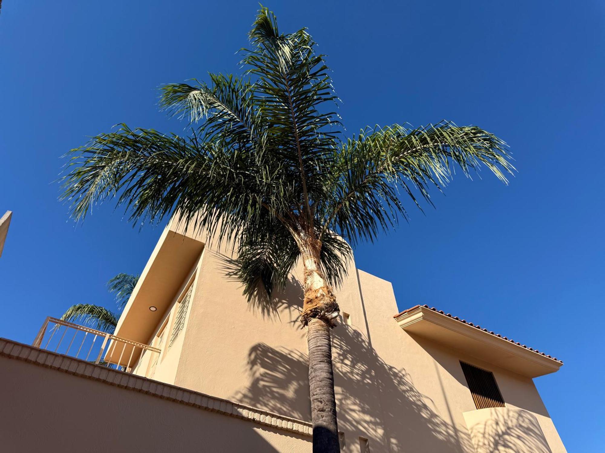 Villa La Palma Hotel 特基拉 外观 照片