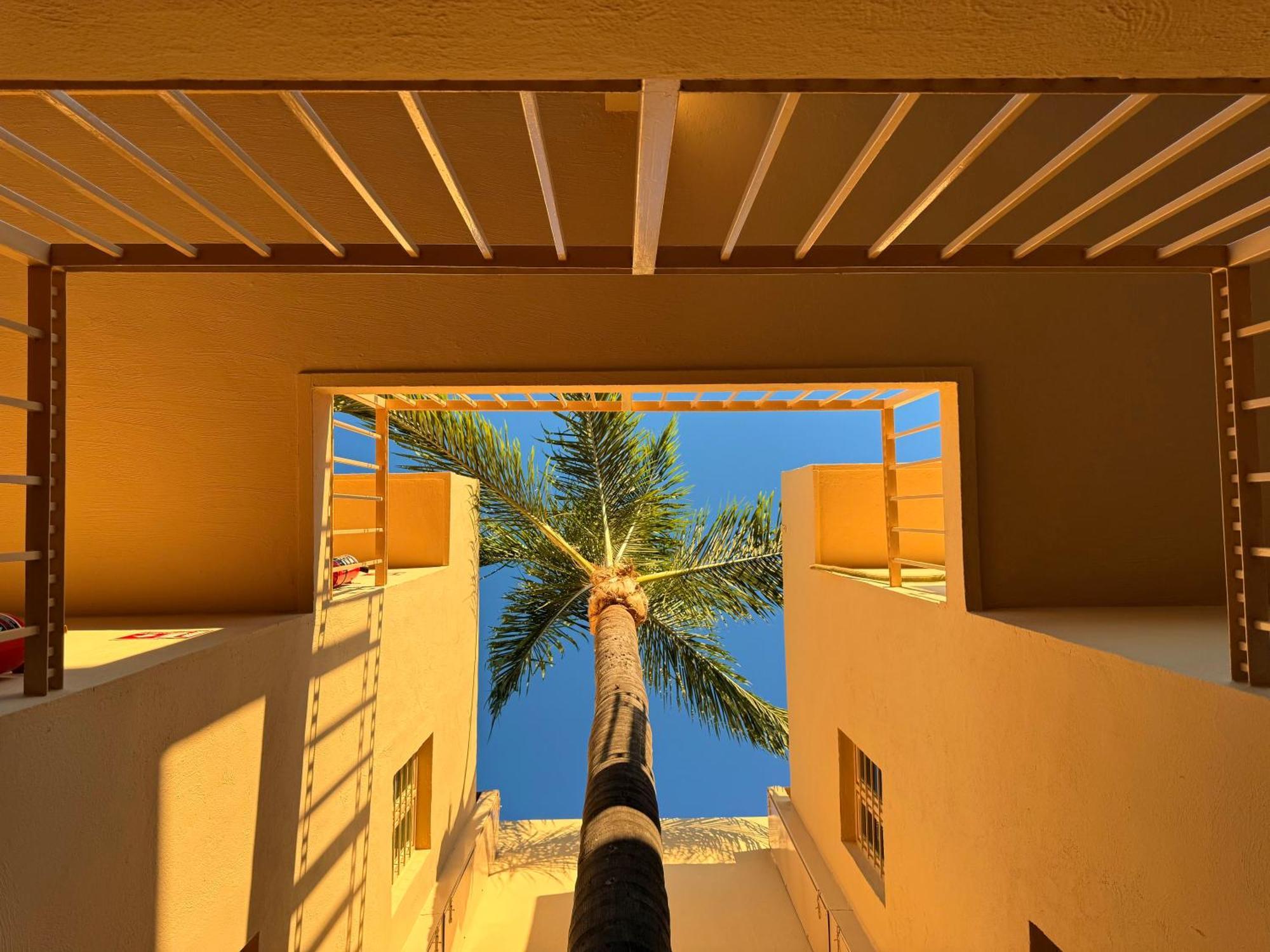Villa La Palma Hotel 特基拉 外观 照片