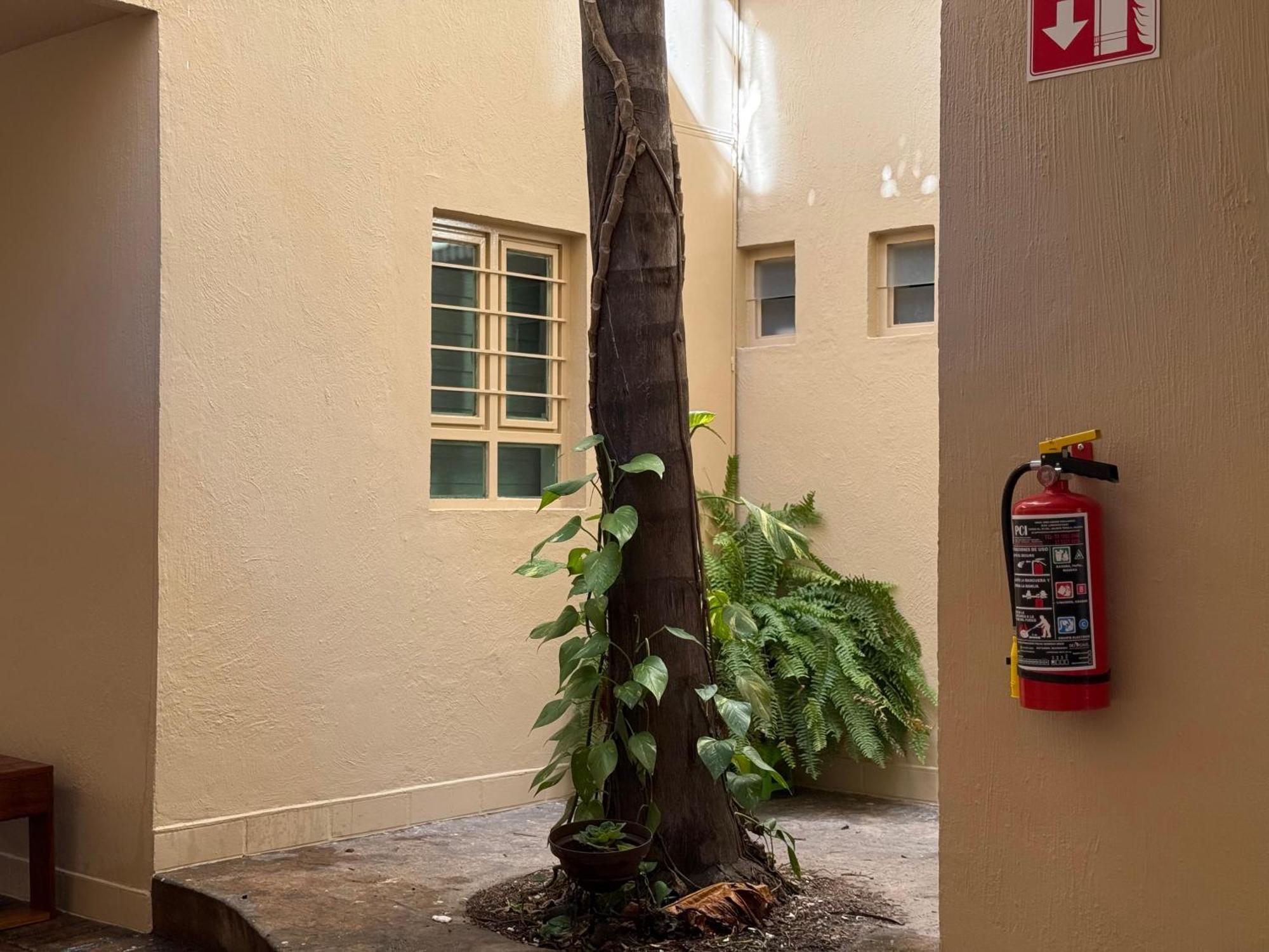 Villa La Palma Hotel 特基拉 外观 照片