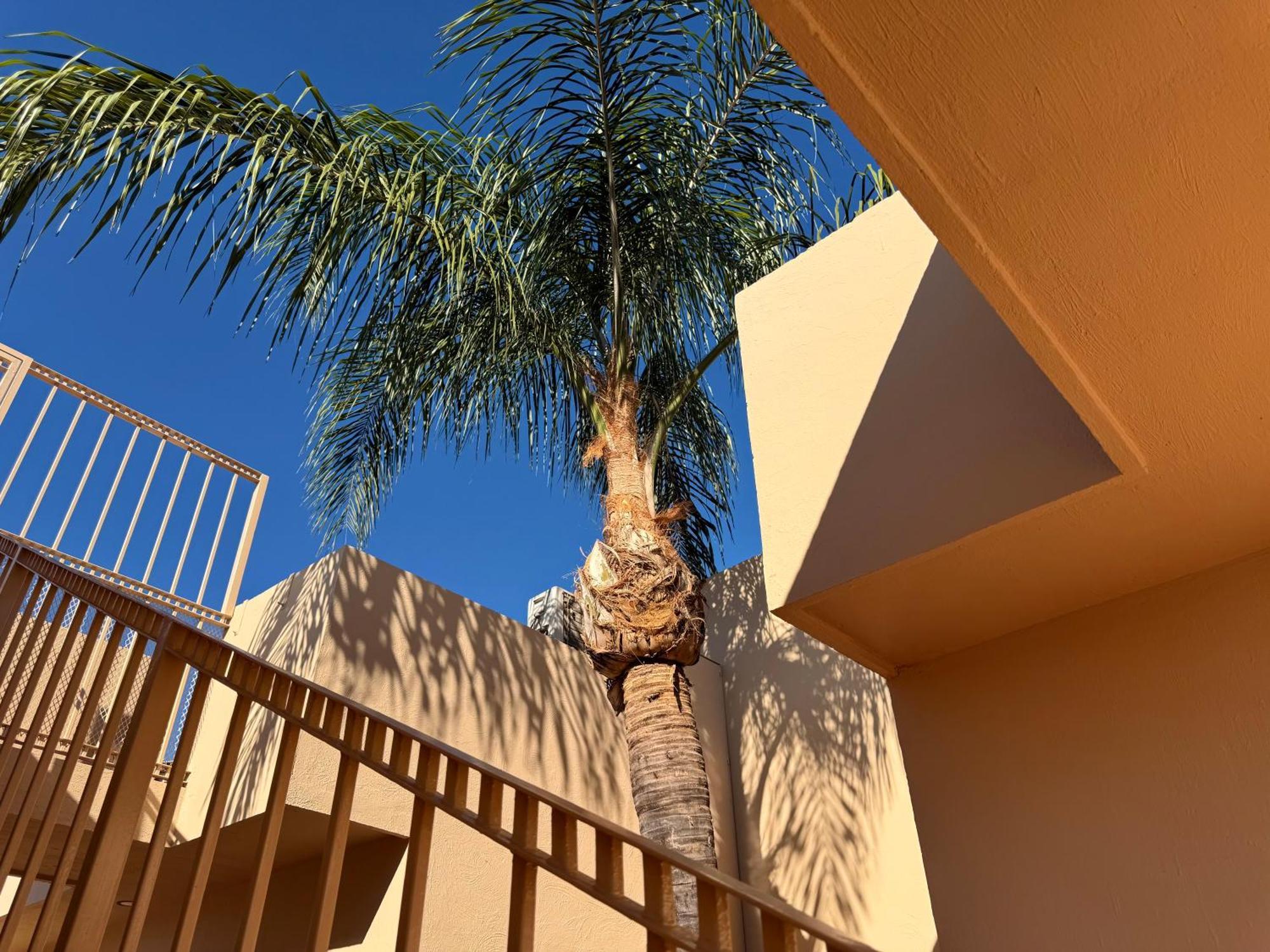 Villa La Palma Hotel 特基拉 外观 照片