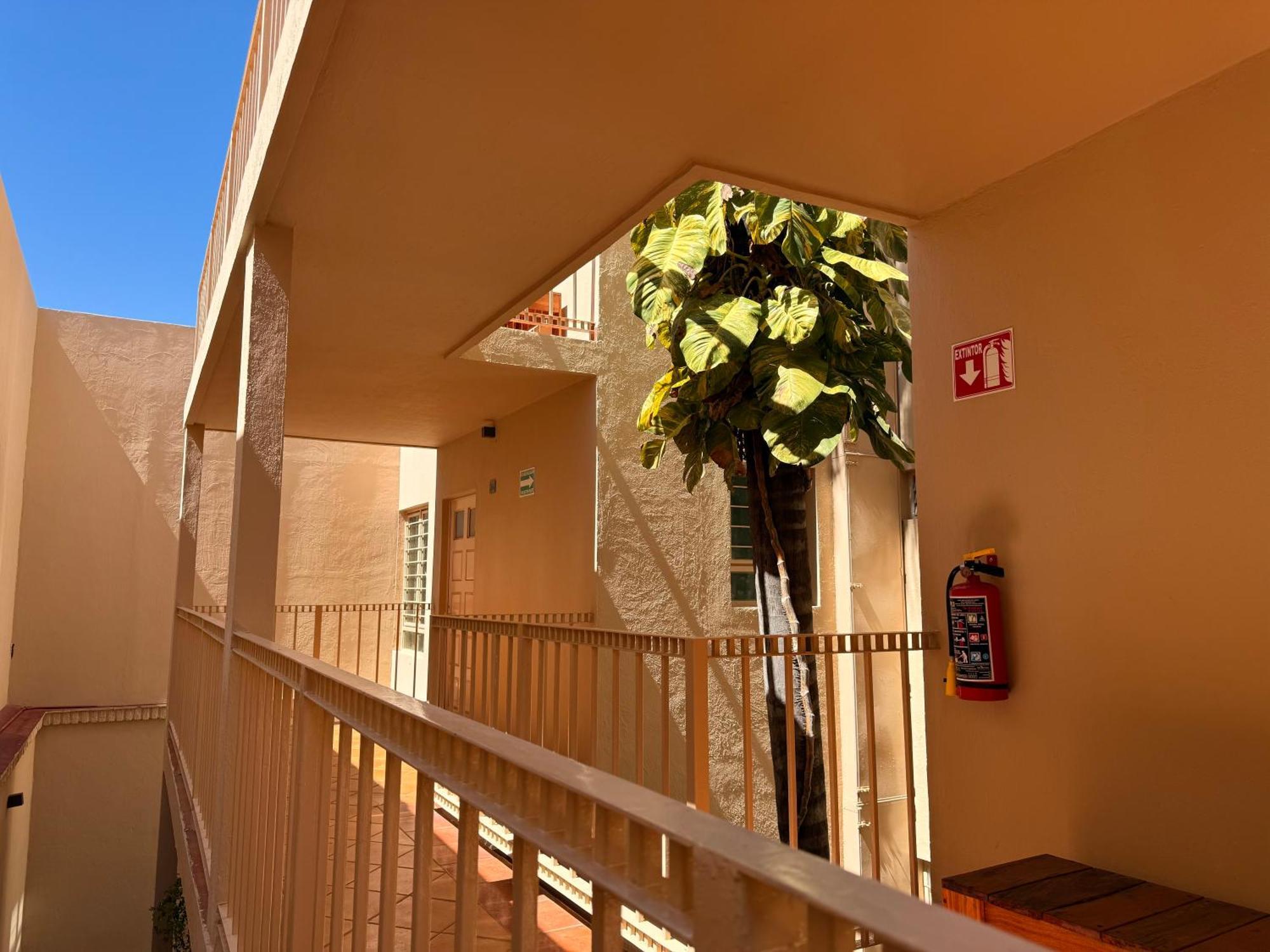 Villa La Palma Hotel 特基拉 外观 照片